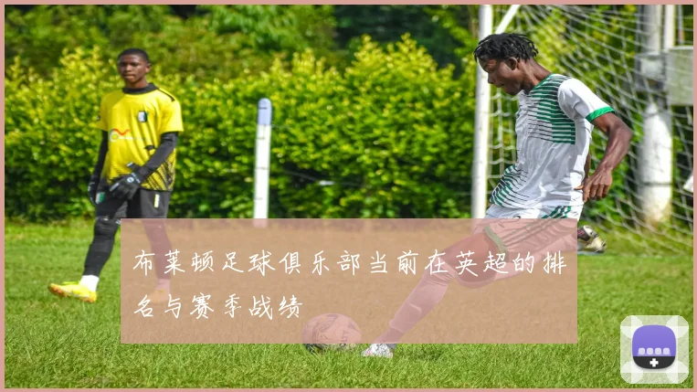 布莱顿足球俱乐部当前在英超的排名与赛季战绩