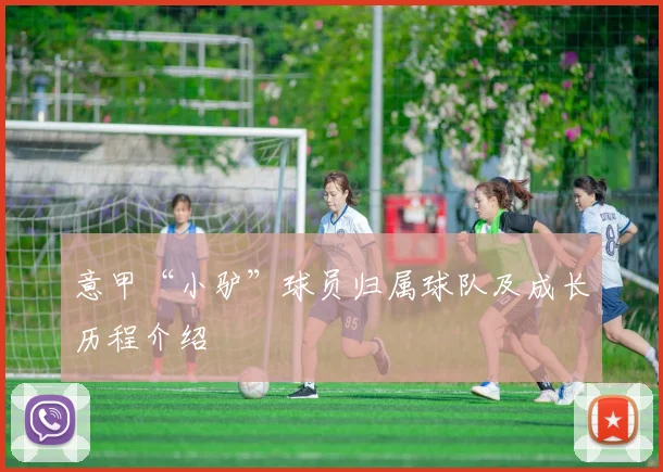 意甲“小驴”球员归属球队及成长历程介绍