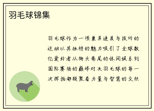 羽毛球锦集